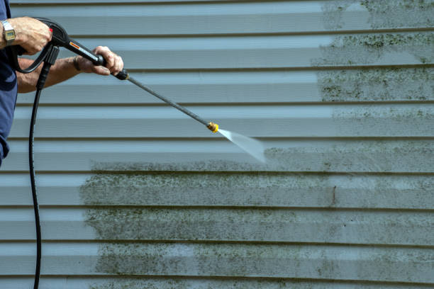 Best Sidewalk and Walkway Cleaning  in Big Bear Lake, CA